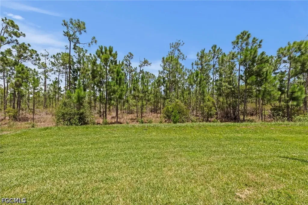 20615 Plumwood Loop North Fort Myers FL 33917