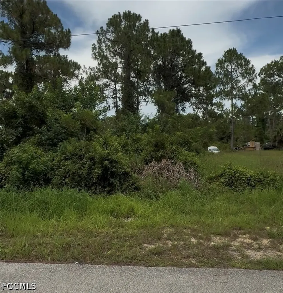 2018 Leroy Avenue Alva FL 33920