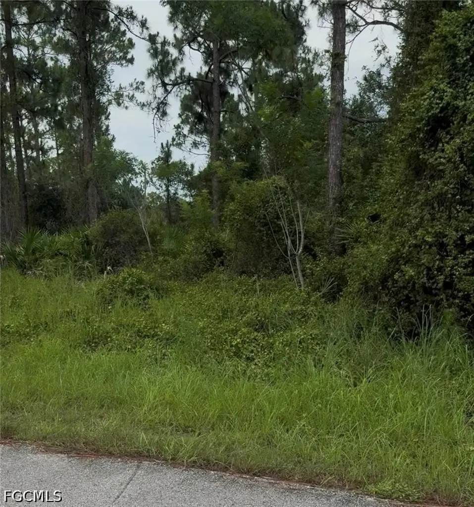 2018 Leroy Avenue Alva FL 33920