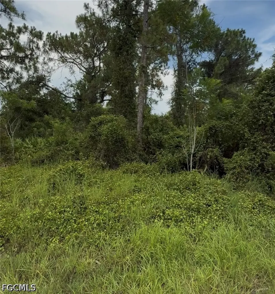 2018 Leroy Avenue Alva FL 33920