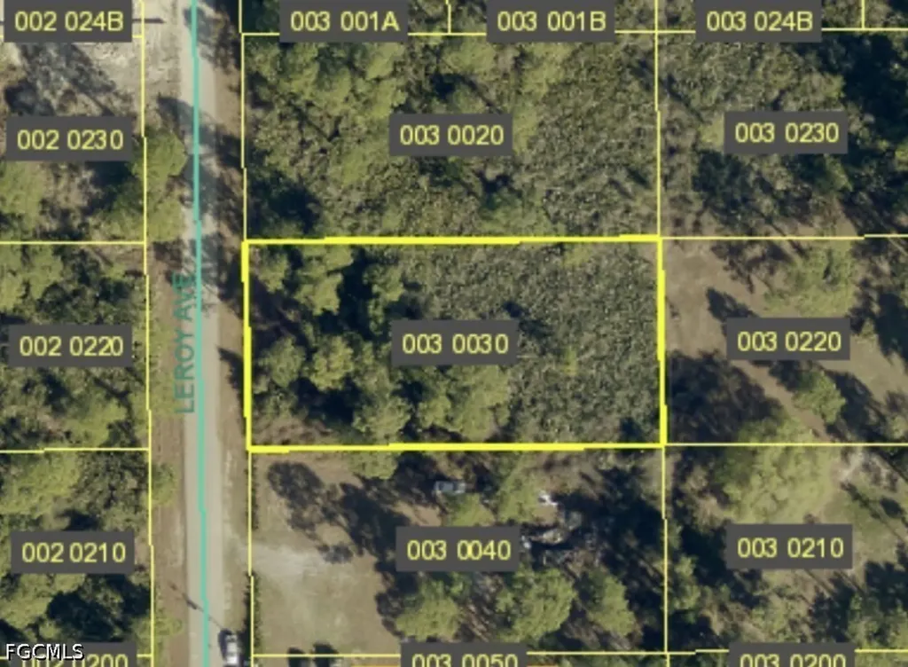 2018 Leroy Avenue Alva FL 33920