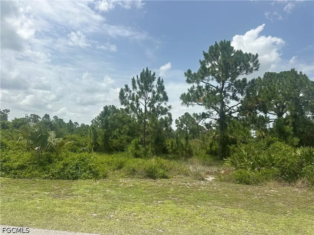 1141 Garibaldi Street E Lehigh Acres FL 33974