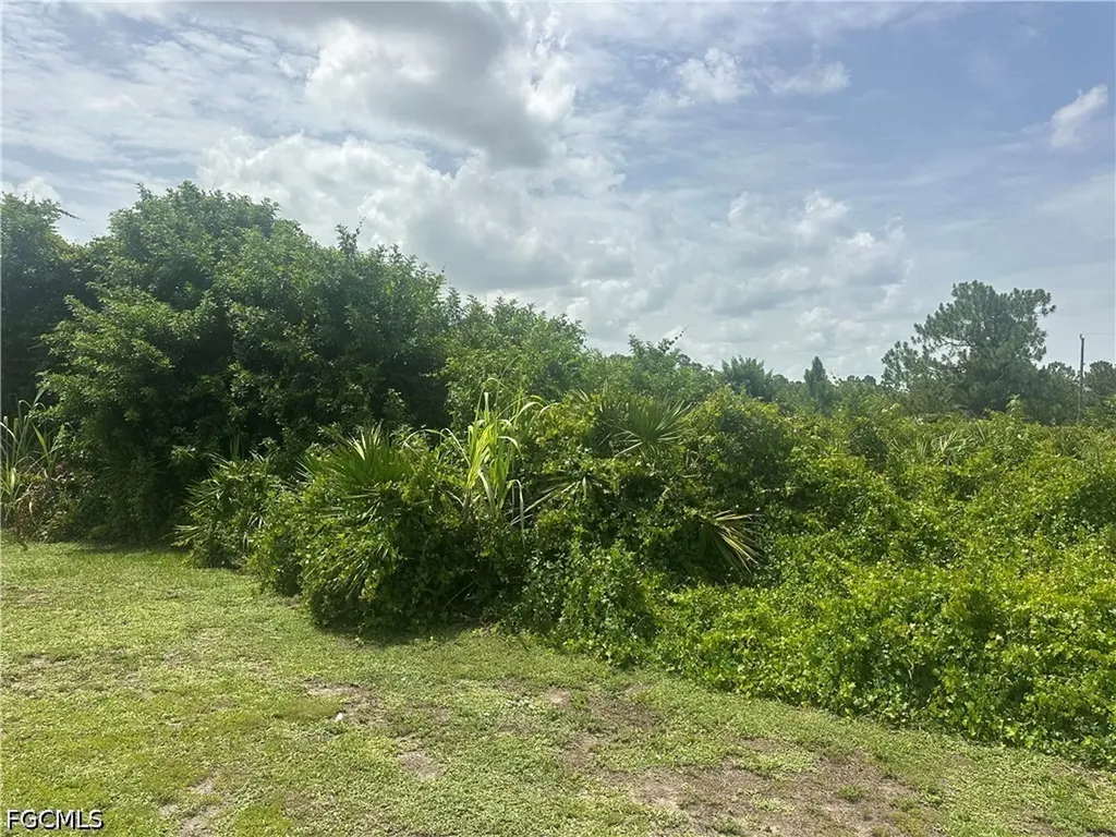 1141 Garibaldi Street E Lehigh Acres FL 33974