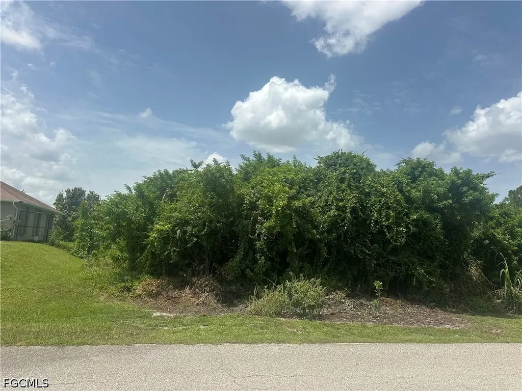 1141 Garibaldi Street E Lehigh Acres FL 33974