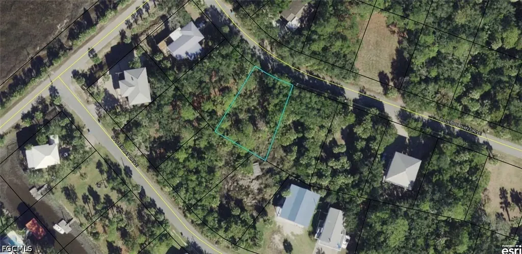 00-00-121-117-12199-057 Blue Dolphin Drive Crawfordville FL 32327