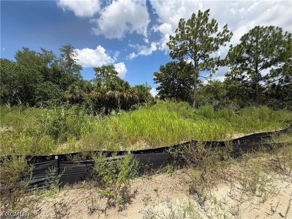 3301 Terry Avenue N Lehigh Acres FL 33971
