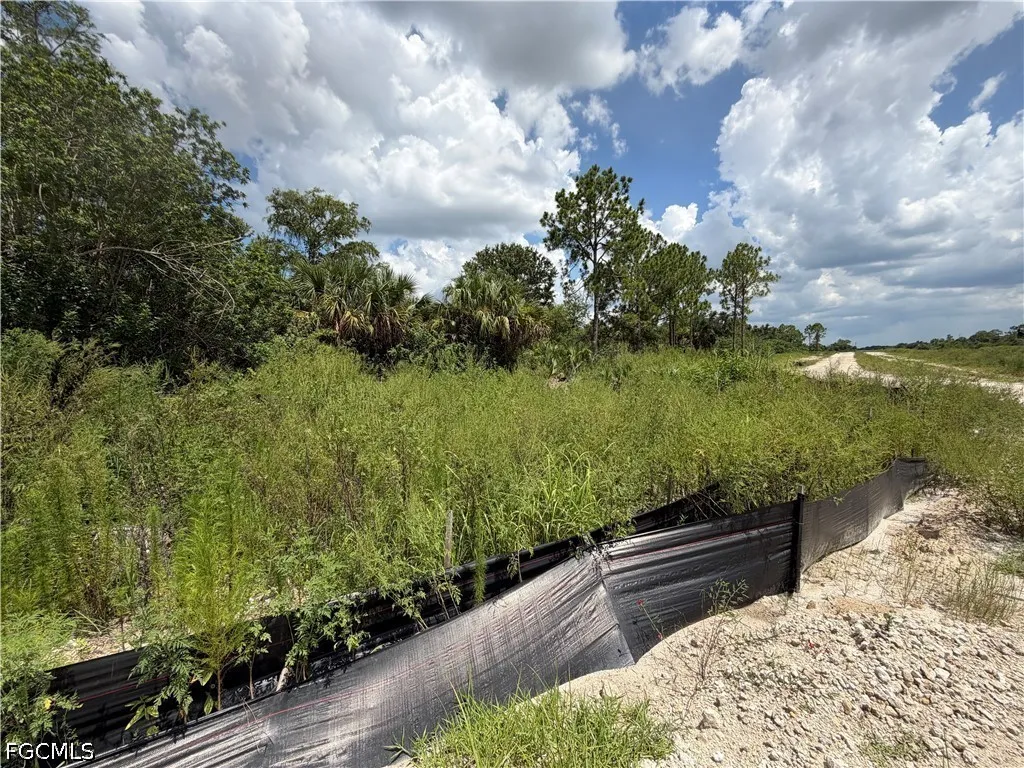3301 Terry Avenue N Lehigh Acres FL 33971