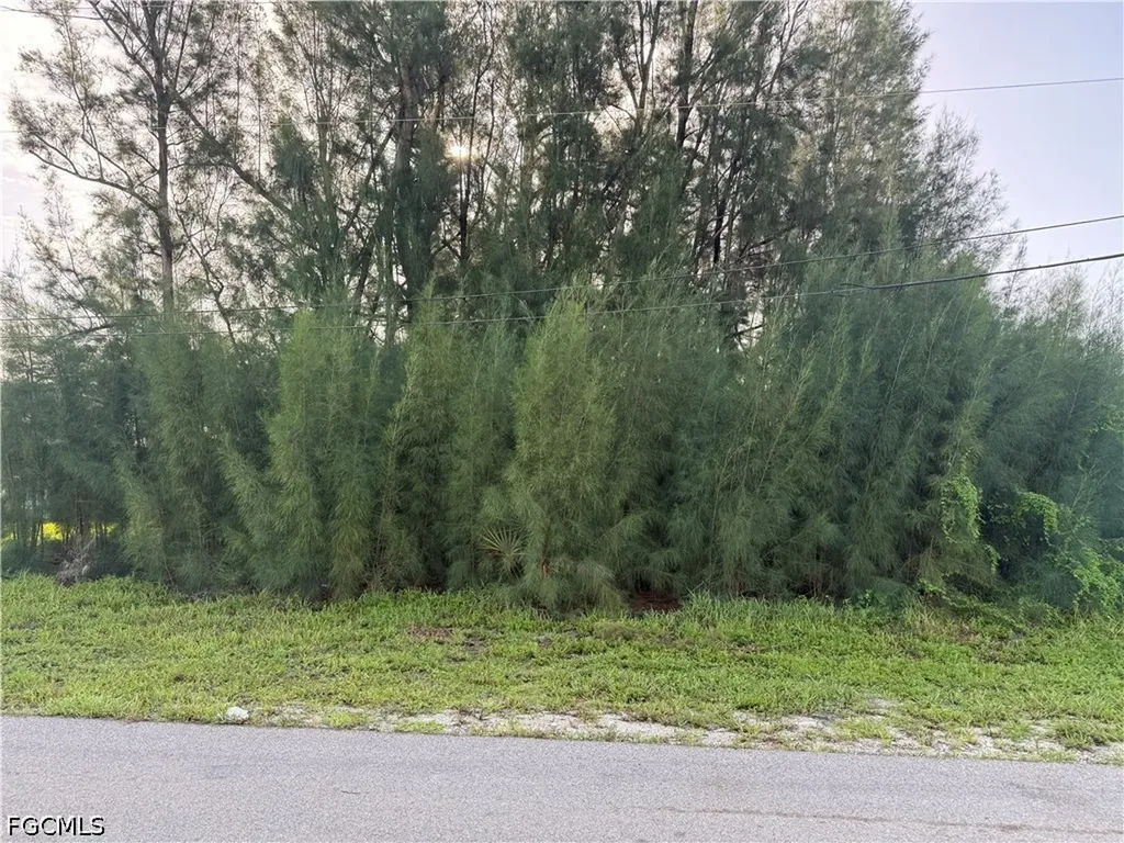 137 SW 34th Avenue Cape Coral FL 33991