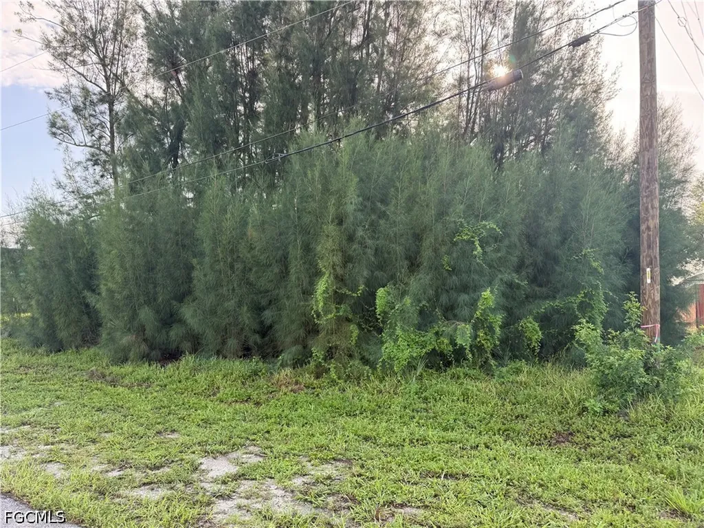137 SW 34th Avenue Cape Coral FL 33991