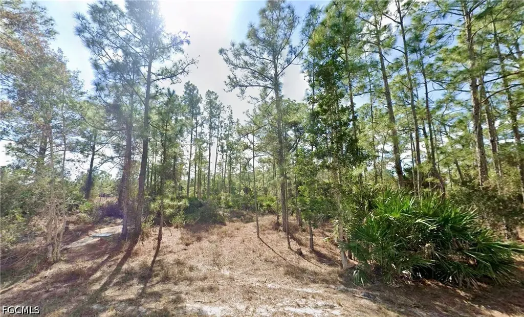 339 Mines Street Lehigh Acres FL 33972