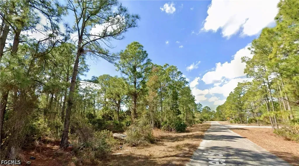 339 Mines Street Lehigh Acres FL 33972