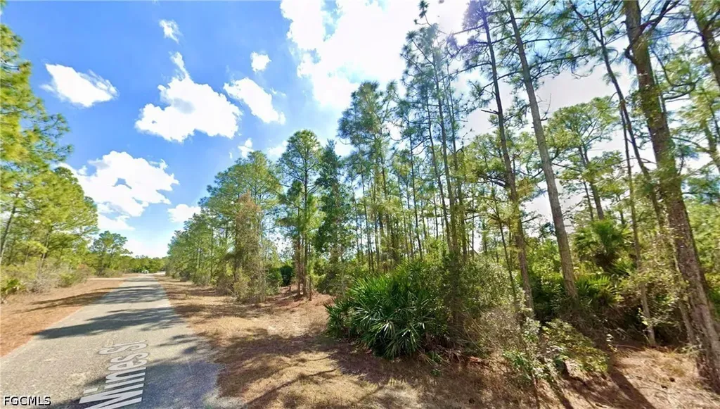 339 Mines Street Lehigh Acres FL 33972