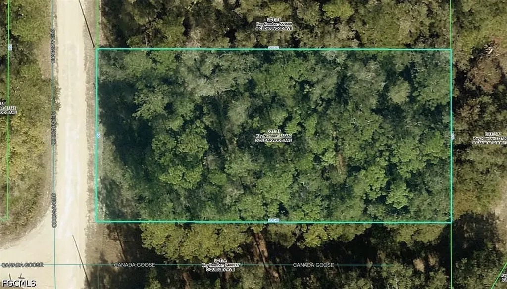 R01-221-17-3357-5520-0170 Cedarwood Avenue Weeki Wachee FL 34614