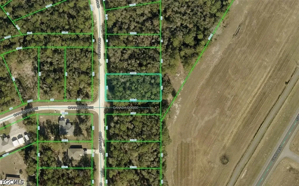 R01-221-17-3357-5520-0170 Cedarwood Avenue Weeki Wachee FL 34614