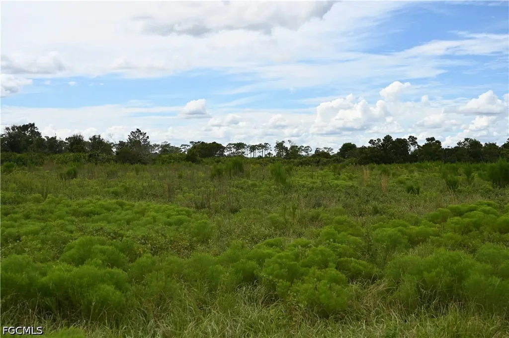0 County Line Road E Fort Meade FL 33841
