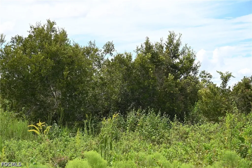 0 County Line Road E Fort Meade FL 33841