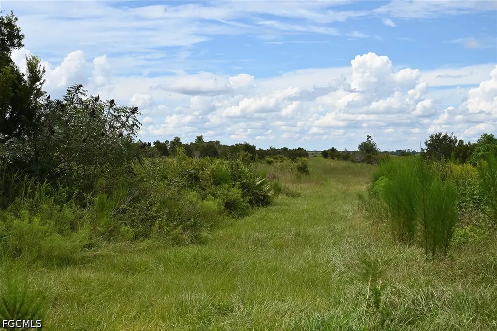 0 County Line Road E Fort Meade FL 33841