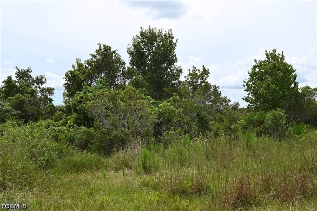 0 County Line Road E Fort Meade FL 33841