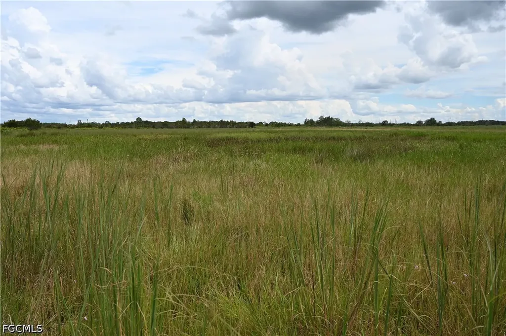 0 County Line Road E Fort Meade FL 33841
