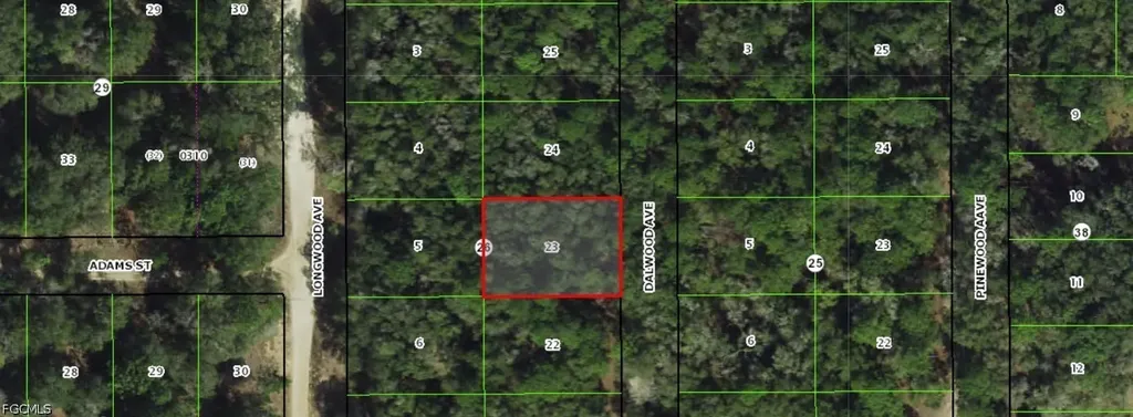 709 Dalwood Avenue Inverness FL 34453