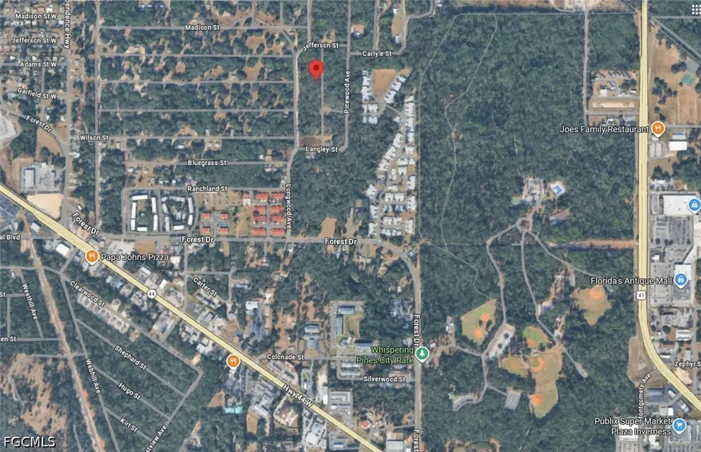 709 Dalwood Avenue Inverness FL 34453