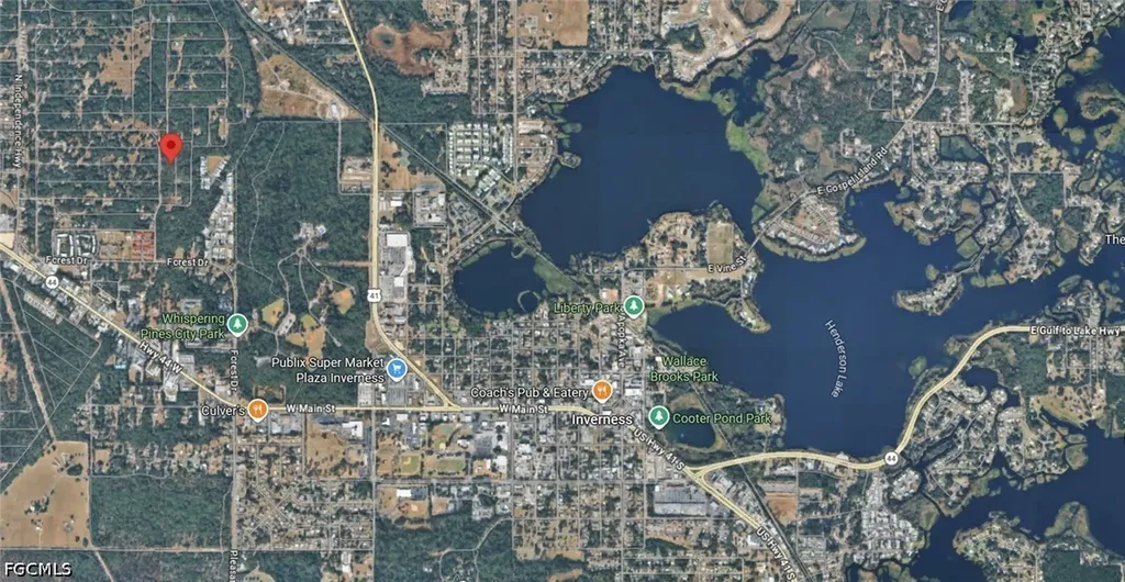709 Dalwood Avenue Inverness FL 34453