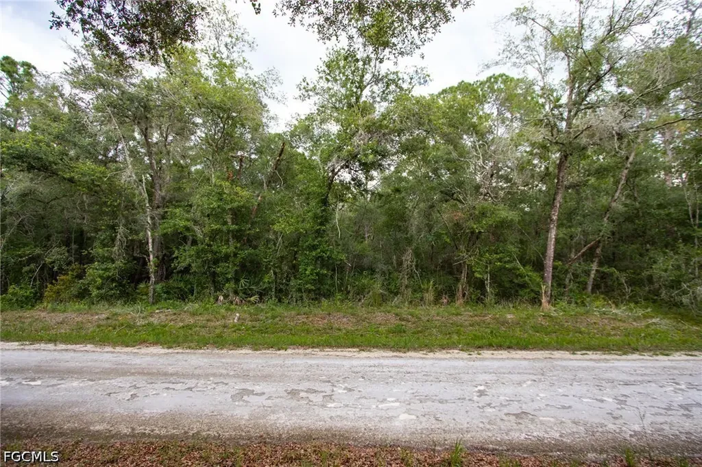 7406 Southeast Avenue Webster FL 33597