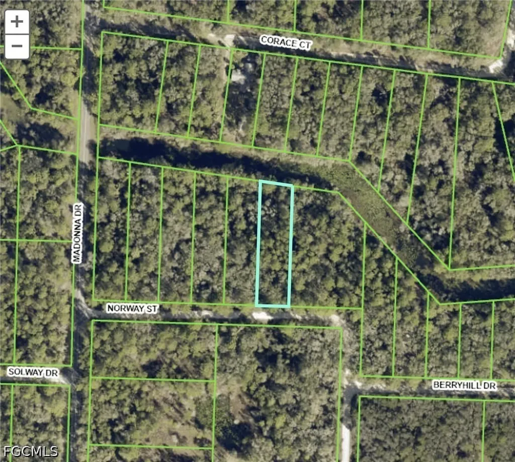7200 Norway Street Webster FL 33597