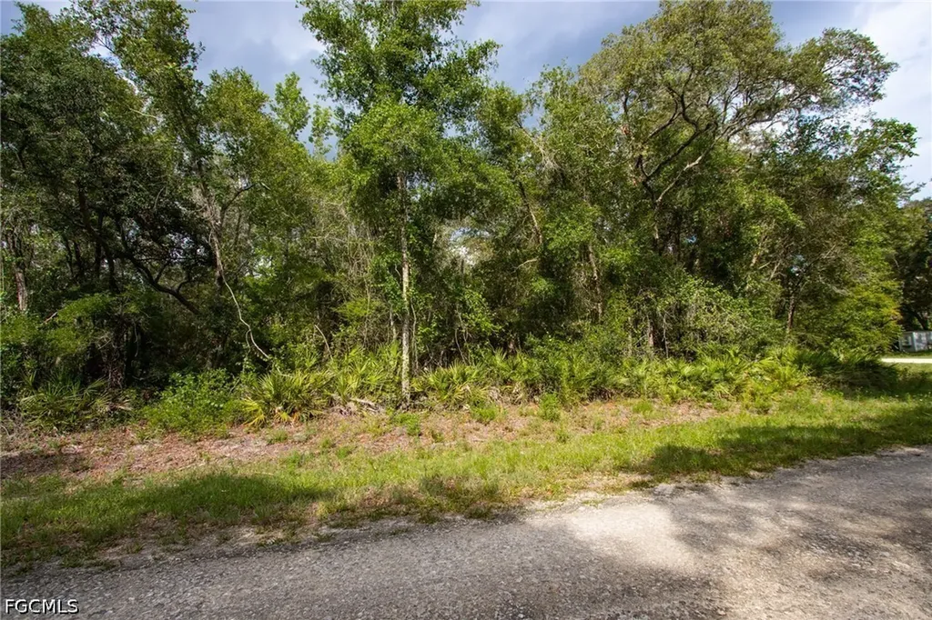 7478 N Canal Street Webster FL 33597