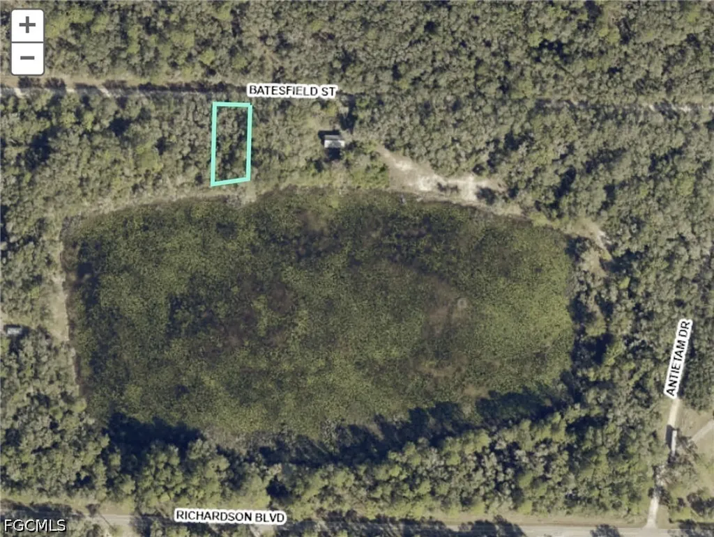 35028 Batesfield Street Webster FL 33597