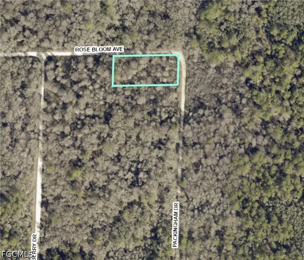 33464 Packingham Drive Webster FL 33597
