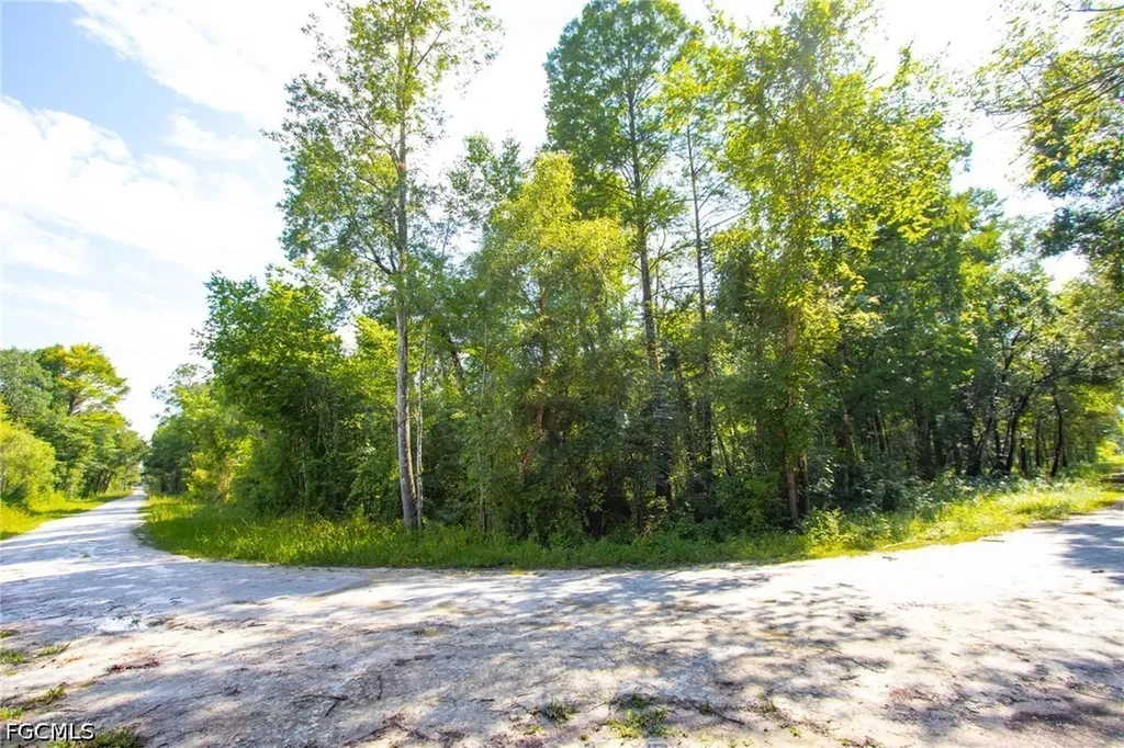 33464 Packingham Drive Webster FL 33597