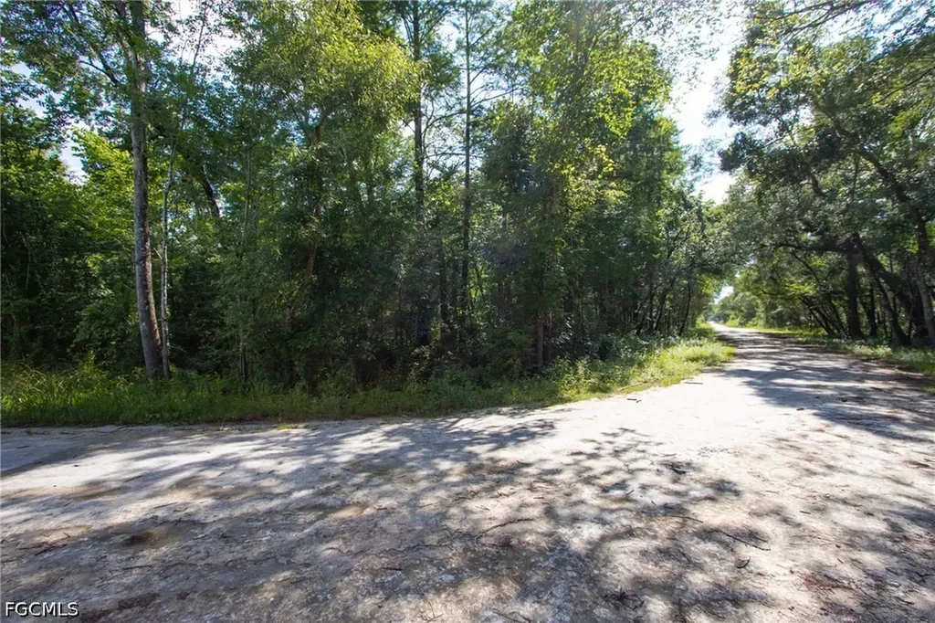 33464 Packingham Drive Webster FL 33597