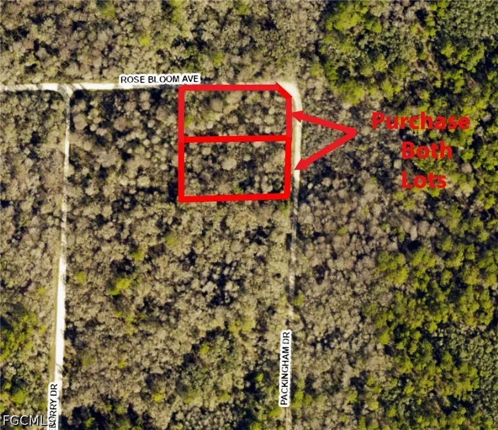 33464 Packingham Drive Webster FL 33597