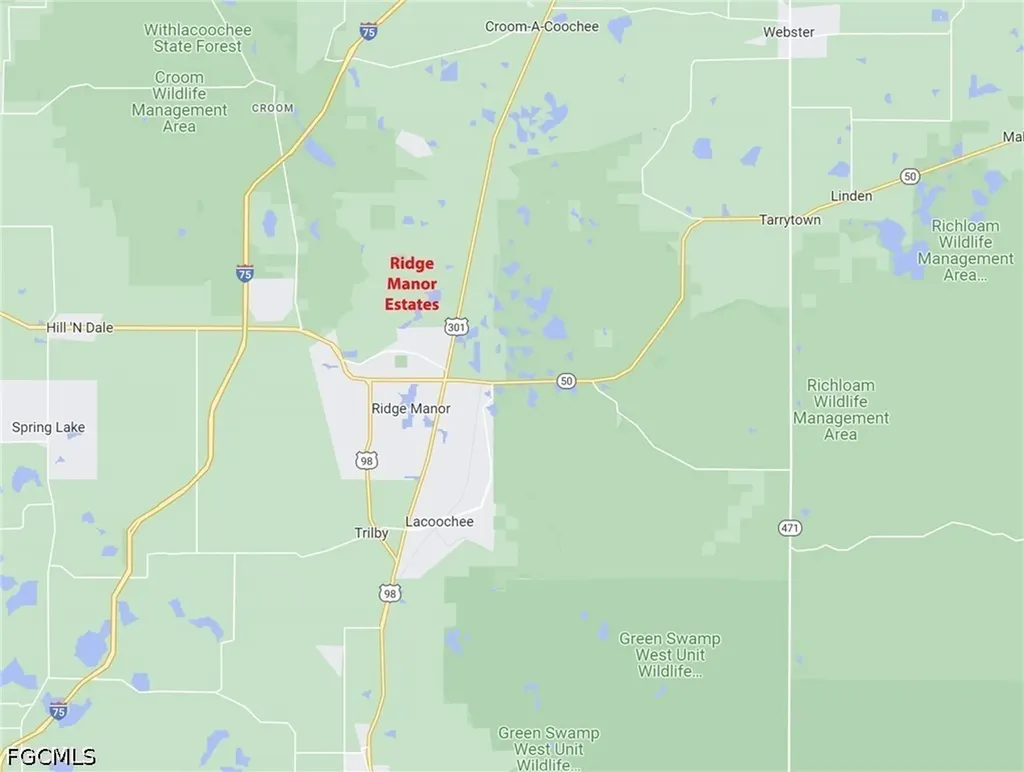 33464 Packingham Drive Webster FL 33597
