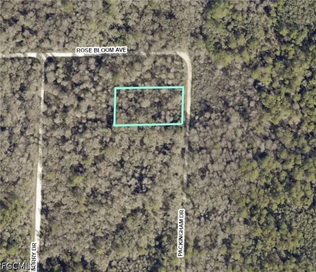 8009 Packingham Street Webster FL 33597