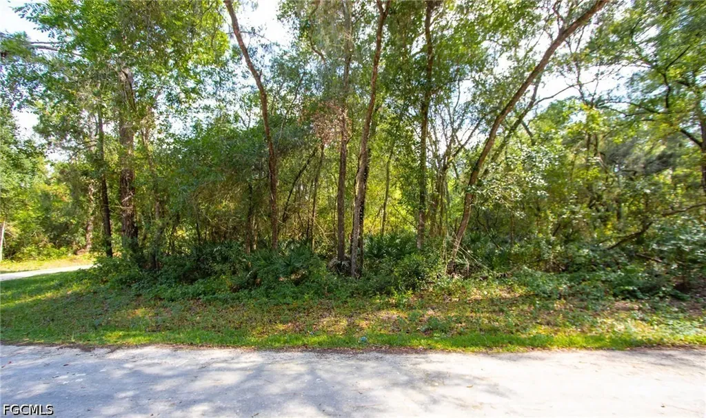 8009 Packingham Street Webster FL 33597
