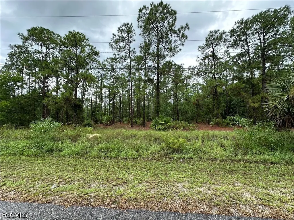 1103 Thompson Avenue Lehigh Acres FL 33972