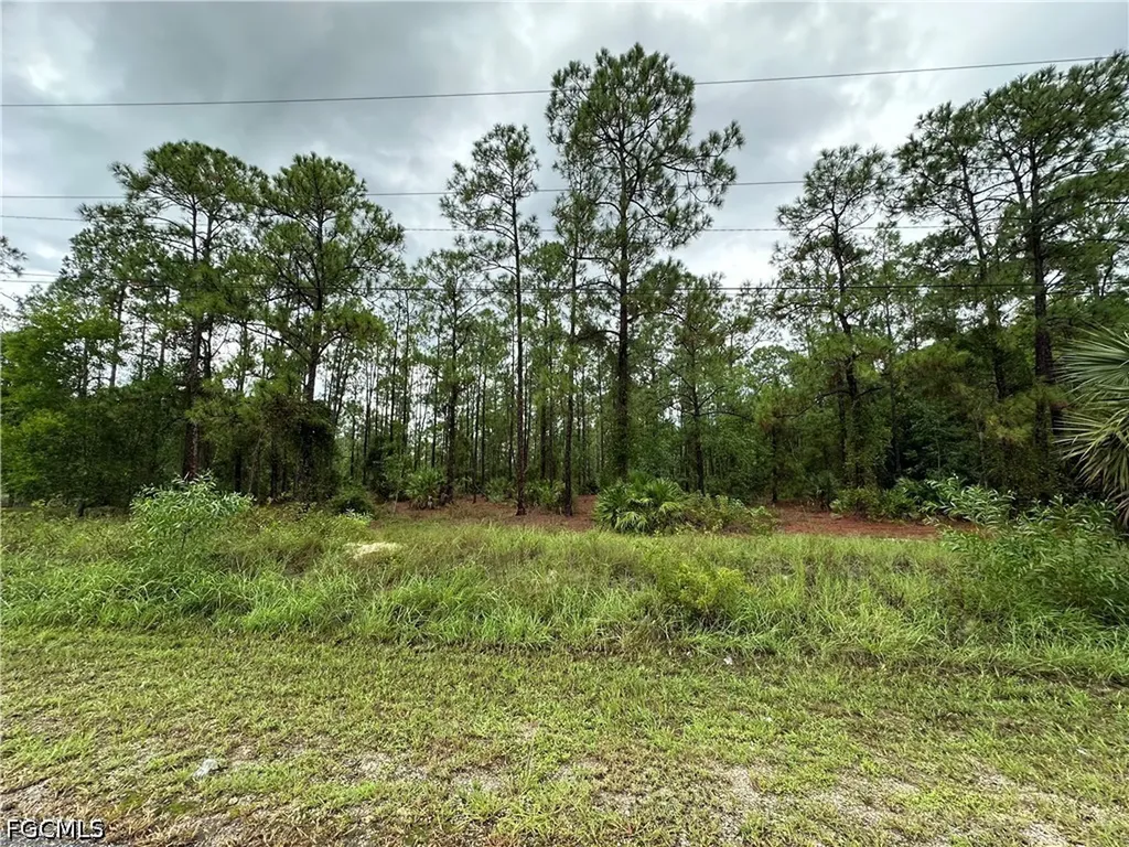 1103 Thompson Avenue Lehigh Acres FL 33972