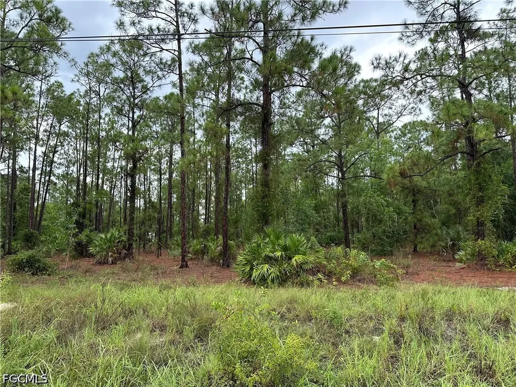 1103 Thompson Avenue Lehigh Acres FL 33972