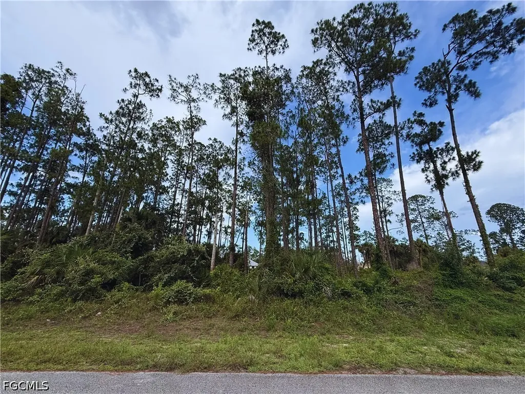 708 Wellington Avenue Lehigh Acres FL 33972