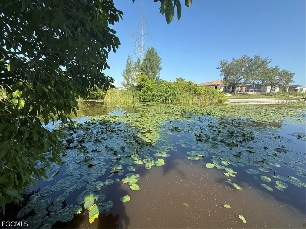 1224 NE 1st Place Cape Coral FL 33909
