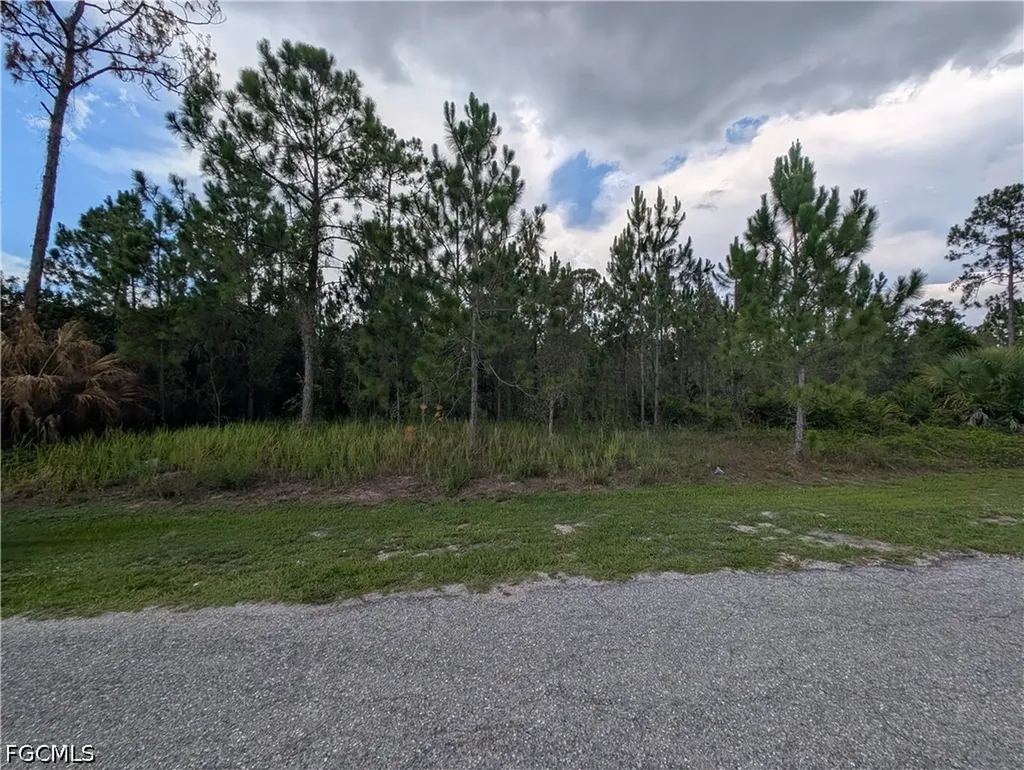 1007 Cleveland Avenue Lehigh Acres FL 33972