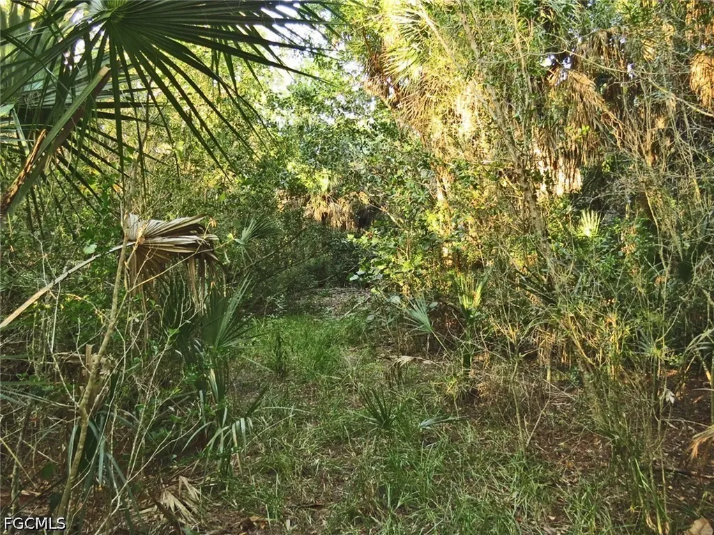 6095 Dinkins Lake Road Sanibel FL 33957