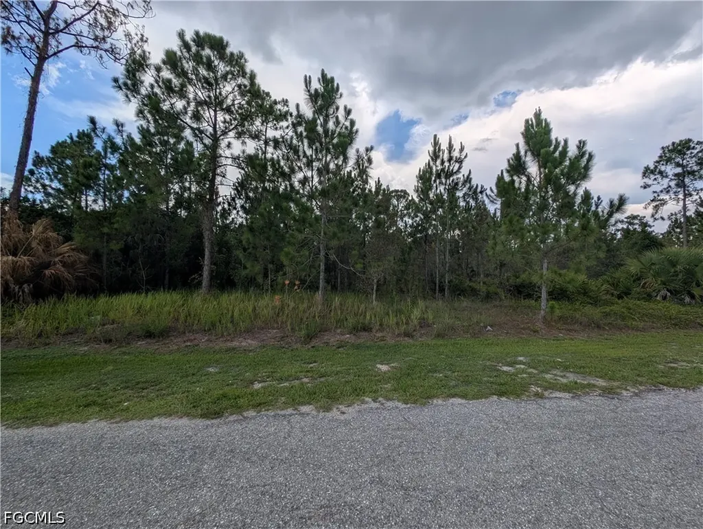 1012 Jackson Avenue Lehigh Acres FL 33972