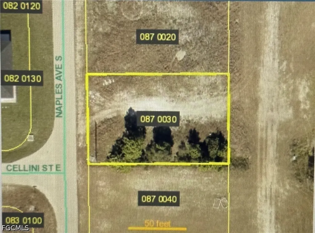 805 Naples Avenue S Lehigh Acres FL 33974