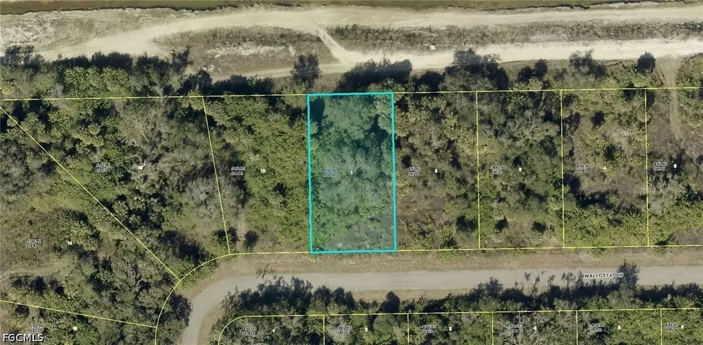 1967 Walcott Loop Lehigh Acres FL 33972