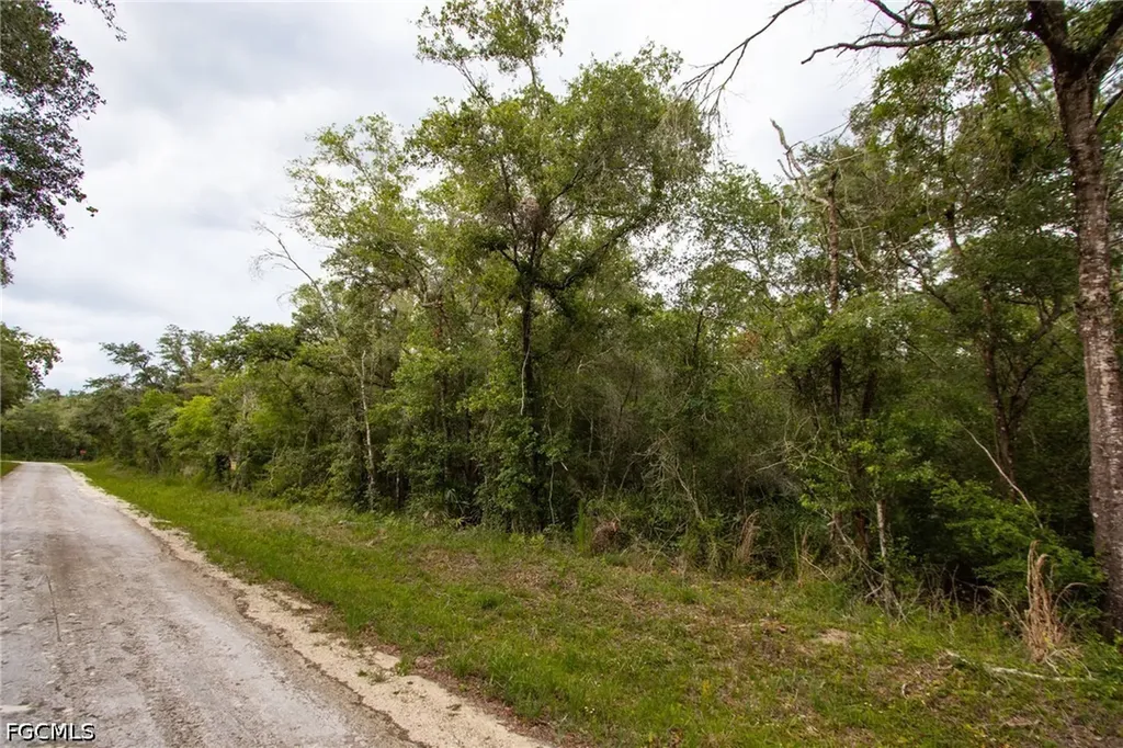7398 Southeast Avenue Webster FL 33597