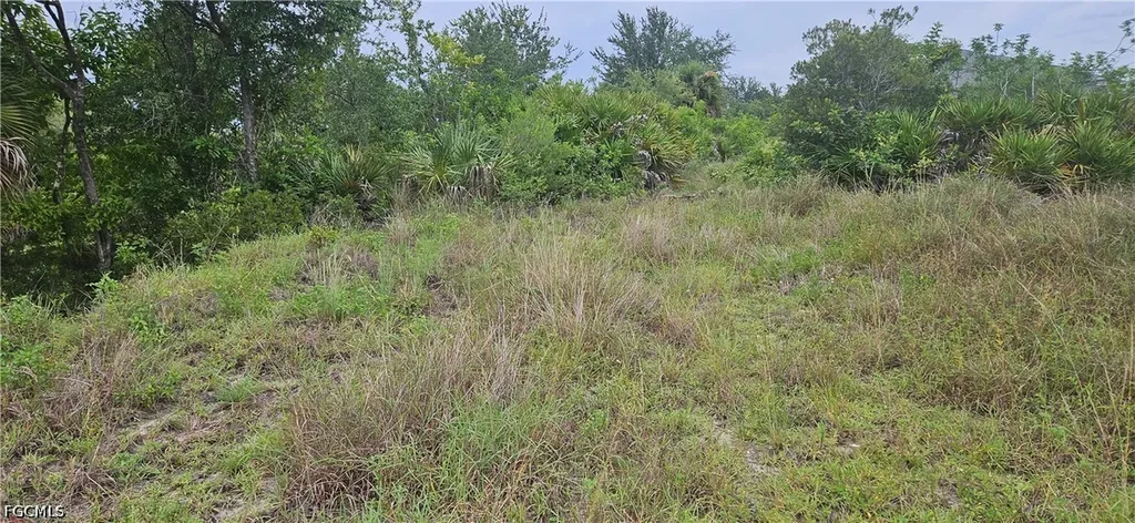 1800 NE 13th Place Cape Coral FL 33909