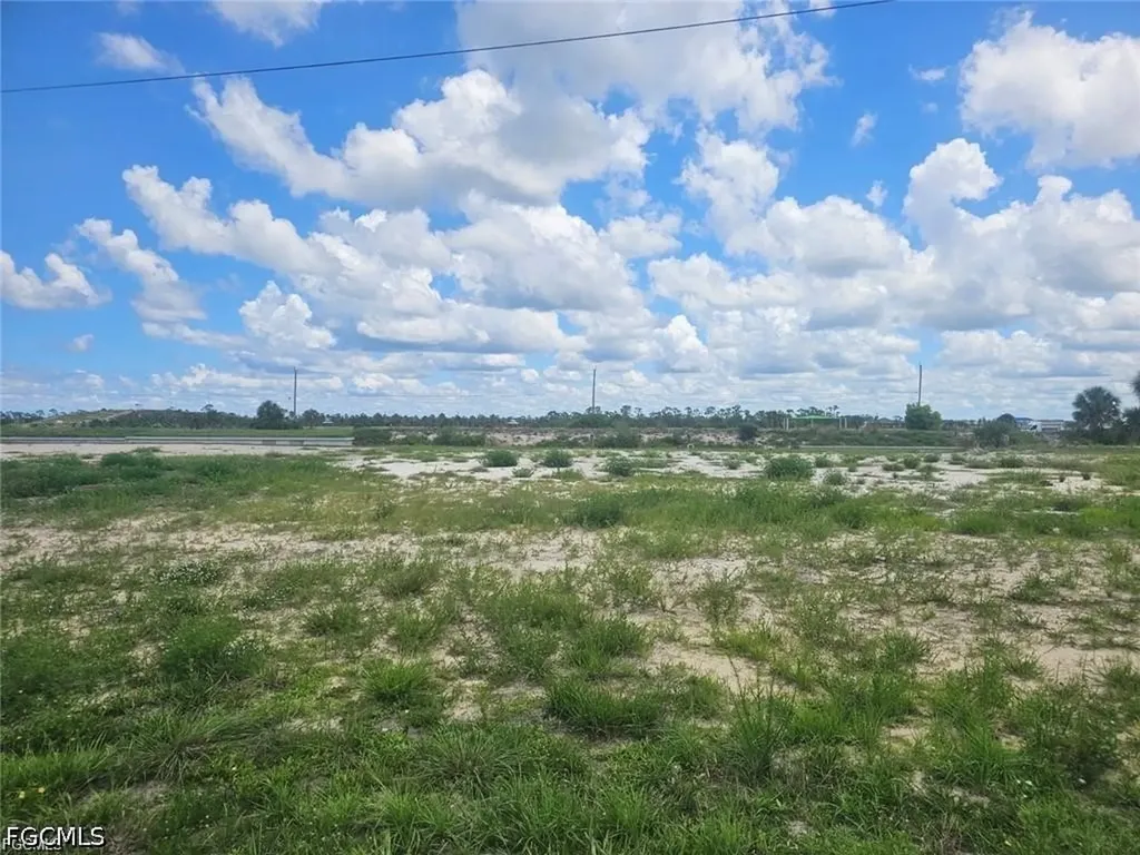 4511 NW 35th Terrace Cape Coral FL 33993